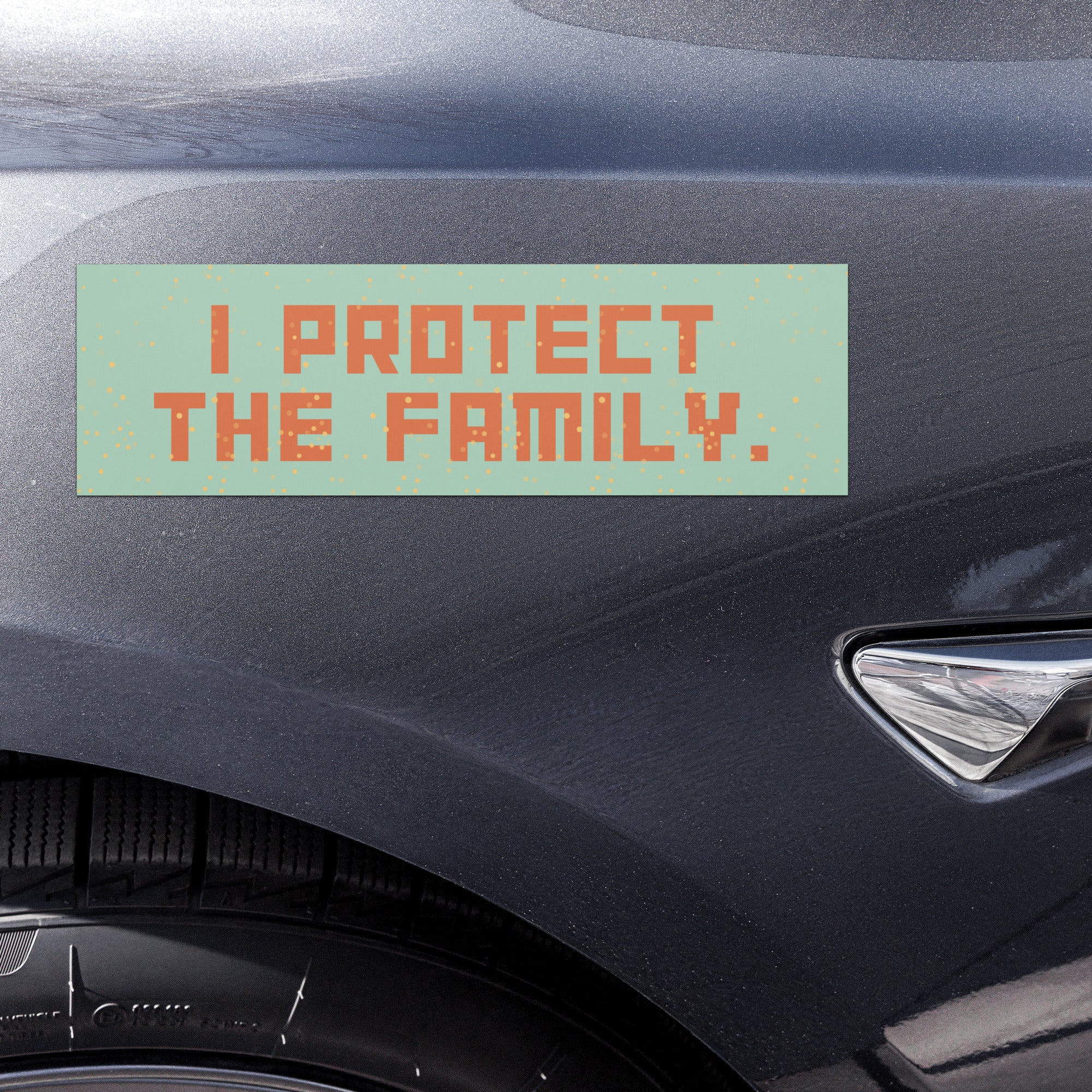 I Protect the Family Car Magnet