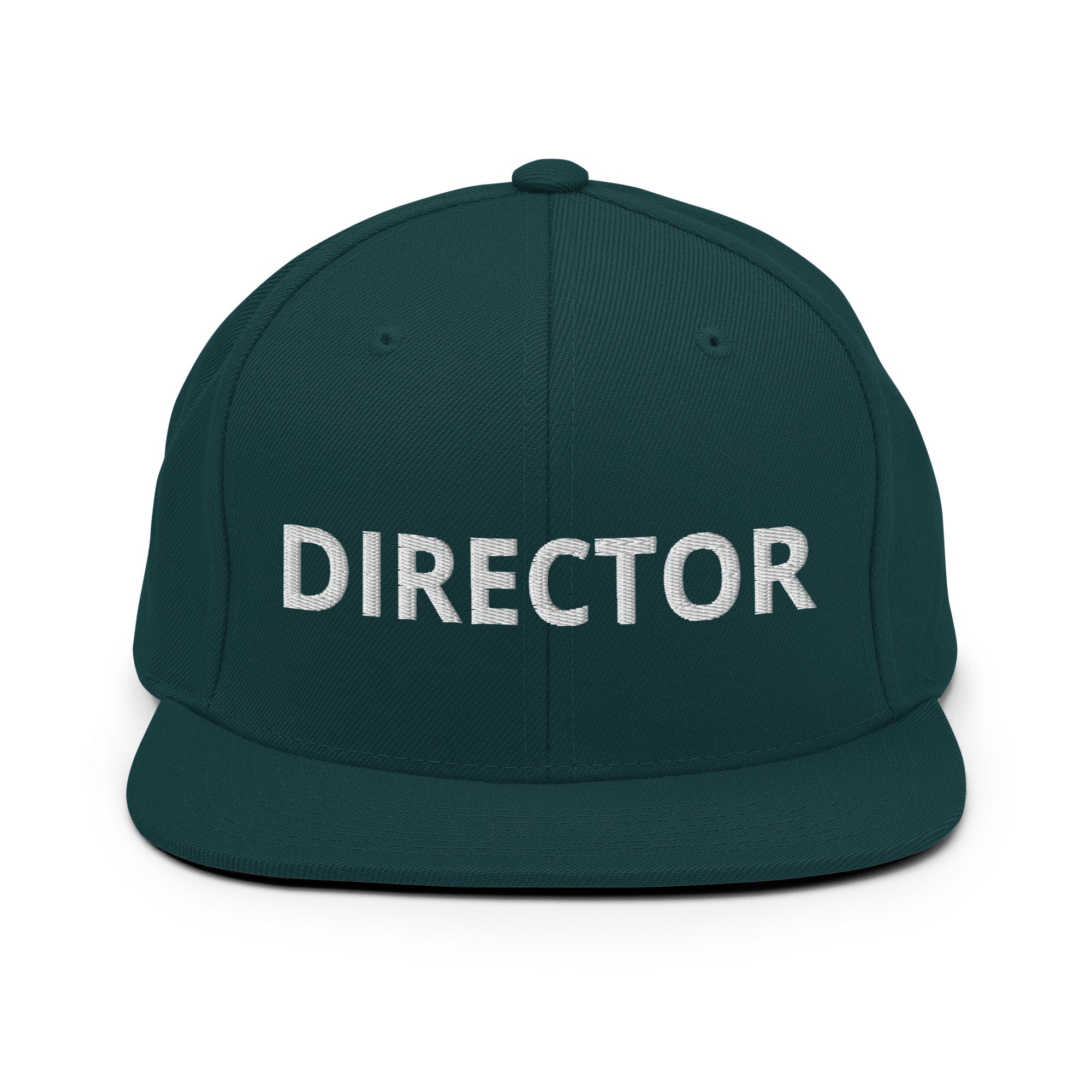 Director Snapback Hat