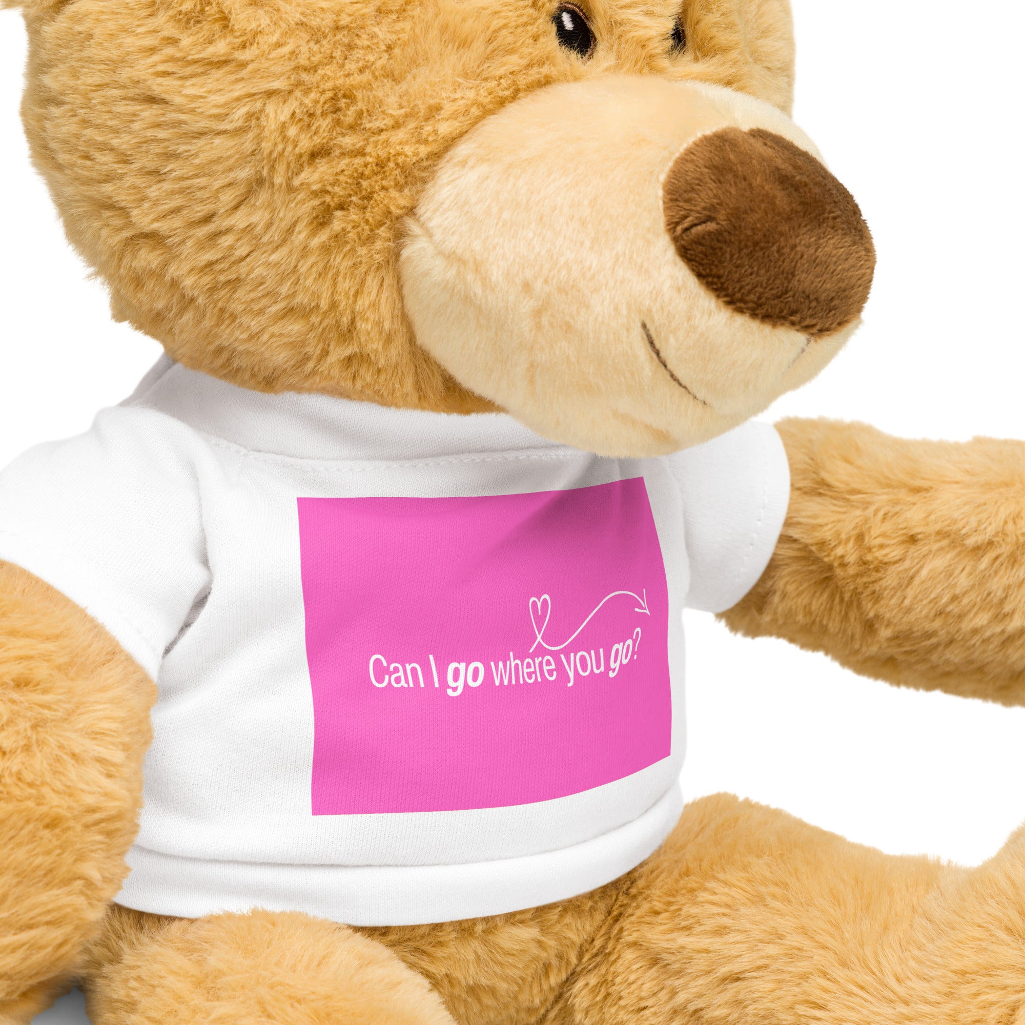 Can I Go Where You Go? | Cuddly Teddy Bear with Swiftie Shirt