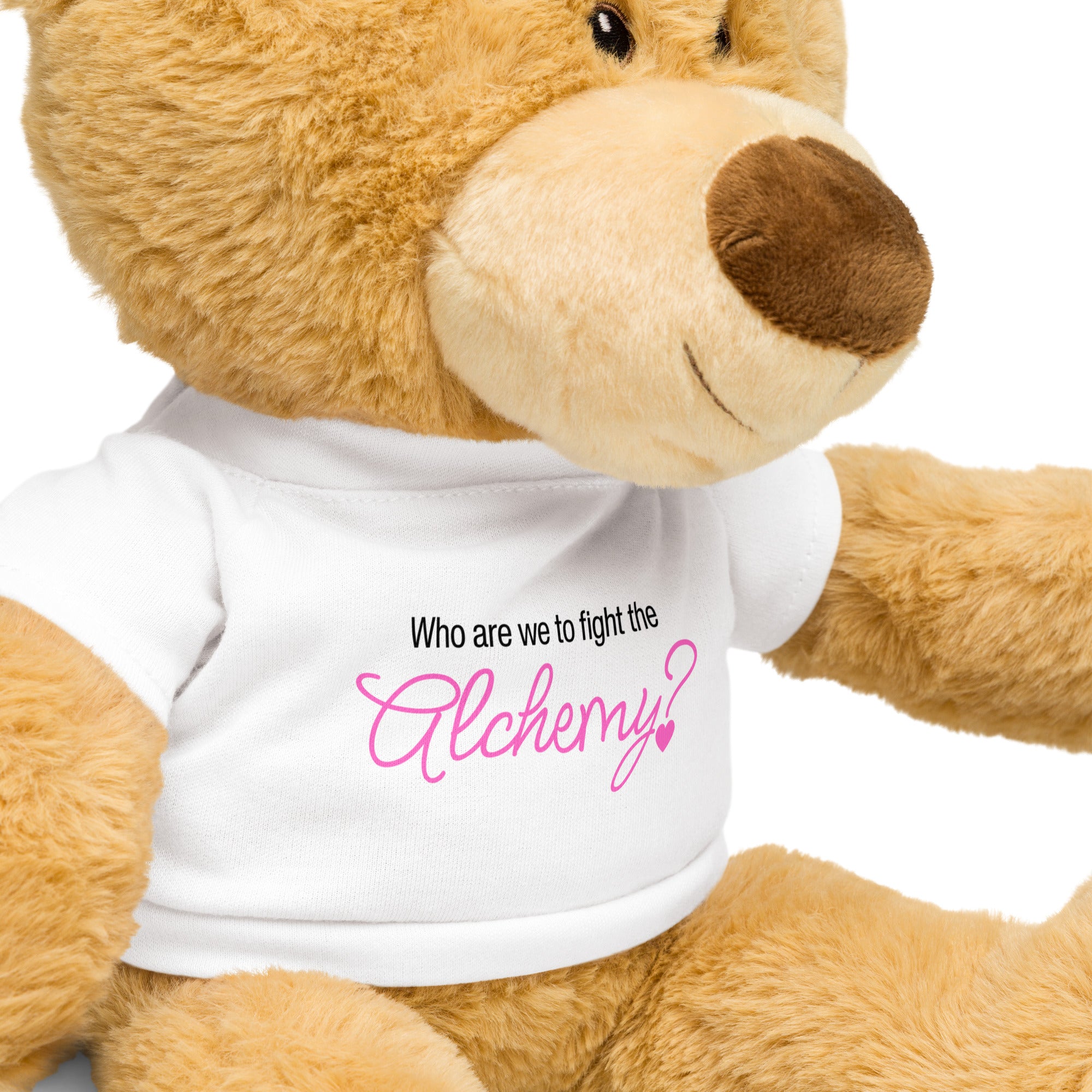 Fight the Alchemy | Cuddly Teddy Bear with Swiftie Shirt